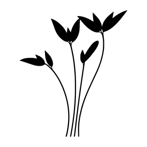 Minimalist Black Plant Silhouettes on White