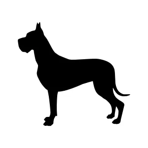 Great Dane Silhouette - Black Animal Vector