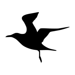 Black Bird Silhouette - Minimalist Flying Bird