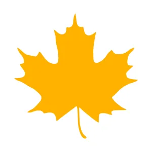 Bright Yellow Maple Leaf Icon
