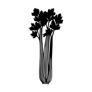 Black Silhouette Celery Illustration