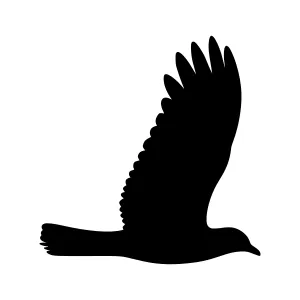 Silhouette Bird in Flight - Vector Graphic