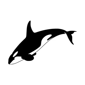 Silhouette Orca Whale - Black on White