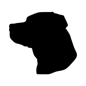 Black Labrador Silhouette - Dog Outline Vector
