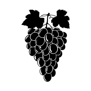 Black Grape Vine Silhouette