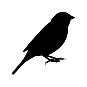 Black Bird Silhouette Vector Illustration