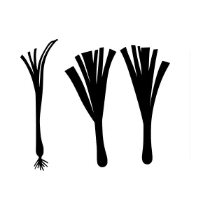 Black Silhouette Ferns - Minimalist Vector Illustration