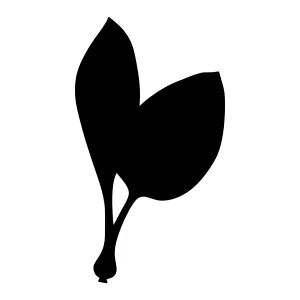 Black Leaf Silhouette Vector Icon