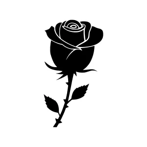 Black Rose Silhouette on White Background