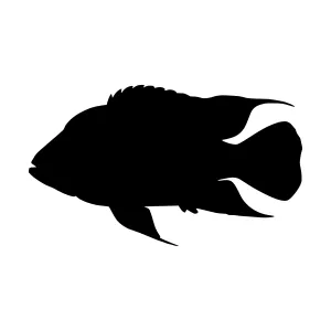 Black Silhouette Fish Vector Graphic
