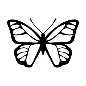 Black Butterfly Outline Vector Icon
