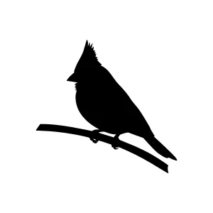 Cardinal Silhouette Vector Illustration