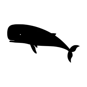 Silhouette Whale Graphic Vector Illustration