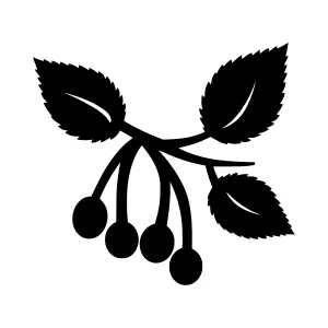 Black Cherry Branch Silhouette Icon