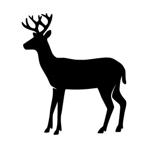 Black Silhouette Deer Vector Graphic