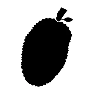 Silhouette Tropical Fruit Vector Graphic