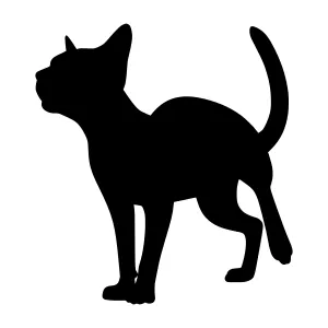 Black Cat Silhouette Vector Illustration