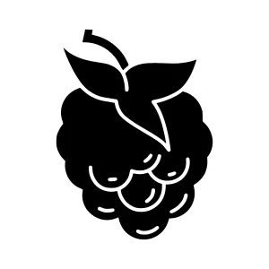 Black Grape Icon - Vector Illustration