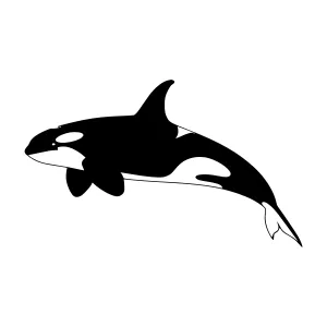 Silhouette Orca Whale - Black on White