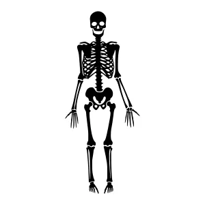 Skeleton Silhouette - Black Outline Design