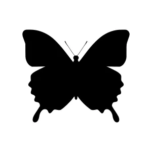 Butterfly Silhouette Vector Graphic