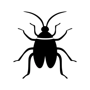 Black Roach Insect Icon - Simple Vector Graphic