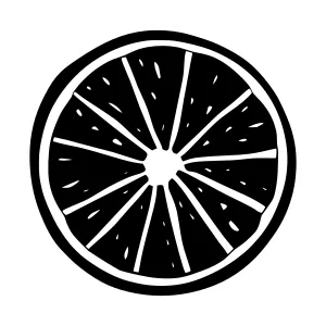 Black & White Citrus Slice Illustration