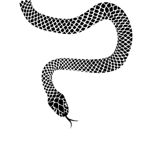 Black Snake Silhouette Vector Graphic