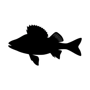 Black Fish Silhouette Vector Illustration