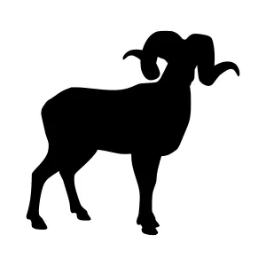 Black Ram Silhouette Vector Illustration