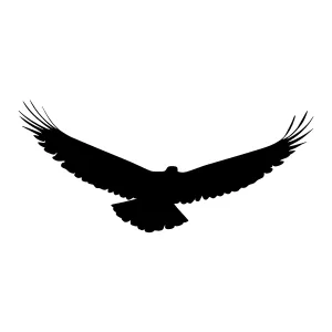 Silhouette Hawk Flying - Minimalist Vector Graphic