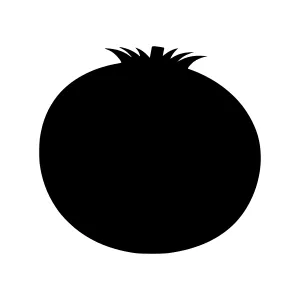 Silhouette Blueberry Graphic Icon