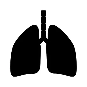 Silhouette Lung Anatomy Icon
