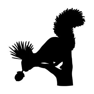 Black Silhouette Squirrel Head Profile