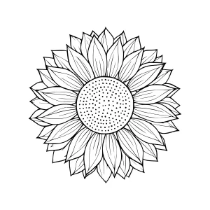 Sunflower Outline Illustration - Black & White