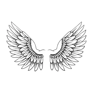 Wing Outline - Black and White Graphic Design