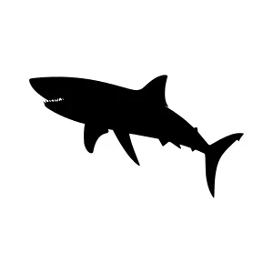 Black Shark Silhouette Vector Graphic