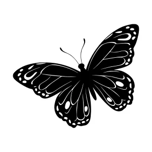 Black Butterfly Silhouette on White Background