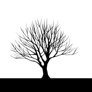 Silhouette Tree Black and White Minimalist