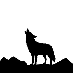 Silhouette Wolf Howling at Mountains