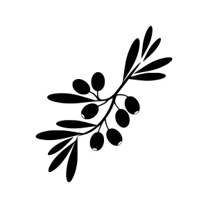 Black Olive Branch Silhouette Vector Illustration