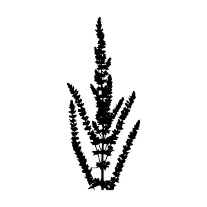 Black Floral Silhouette - Minimalist Plant Vector