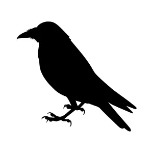 Black Crow Silhouette Vector Illustration