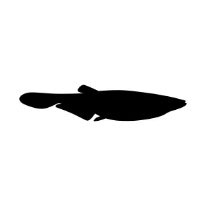 Fish Silhouette Vector Graphic
