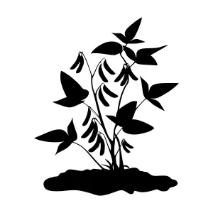 Black Silhouette Plant Illustration