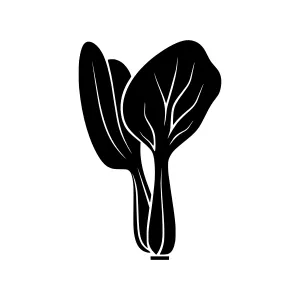 Chinese Bok Choy Vegetable Icon - Black Silhouette