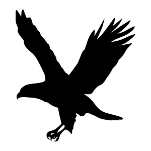 Silhouette Eagle in Flight - Graphic Vector