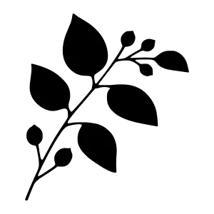 Black Leaf Branch Silhouette Vector