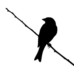 Silhouette Bird on Branch - Minimalist Vector