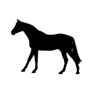 Silhouette Horse - Minimalist Animal Graphic